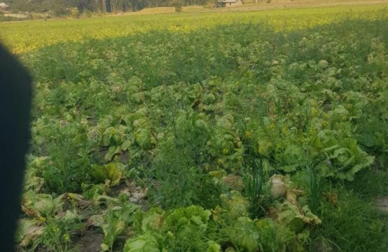 Terreno de venta en Yaruqui