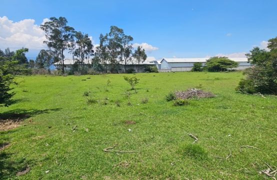 Terreno de arriendo o Venta en Puembo 7152m2