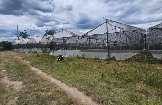 Terreno de venta en Yaruqui 10565m2