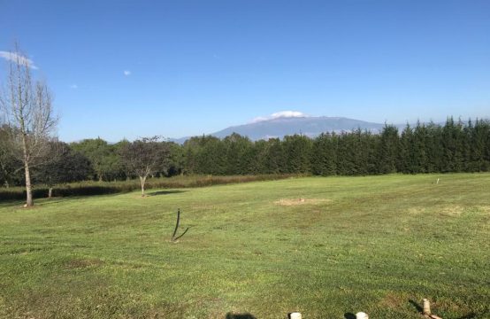Terrenos  de Venta en Checa
